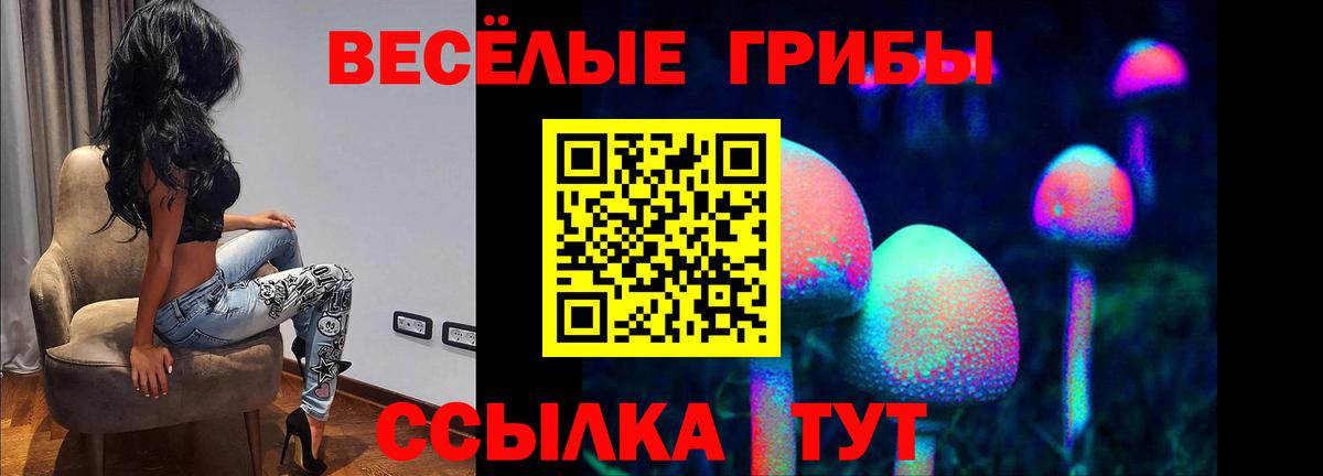 Сергиев Посад  Галлюциногенные грибы Magic Shrooms  Вход с VPN 